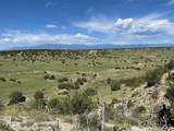  Railroad Springs Rd - Photo 5