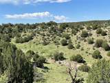  Railroad Springs Rd - Photo 7