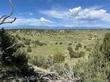  Railroad Springs Rd - Photo 8