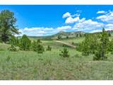 56 View Ln - Photo 8