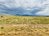 291 Black Hills - Photo 24