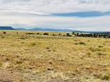 291 Black Hills - Photo 9