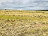 291 Black Hills - Photo 17