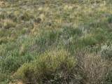18 Frontera Rd - Photo 6