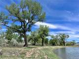 1797 County Road 346 - Photo 13