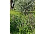 1797 County Road 346 - Photo 24
