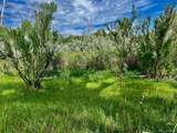 1797 County Road 346 - Photo 26