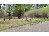 1797 County Road 346 - Photo 7