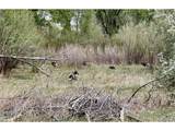 1797 County Road 346 - Photo 8