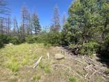  Peak View Ridge - Photo 12
