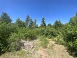  Peak View Ridge - Photo 13
