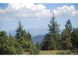  Peak View Ridge - Photo 14