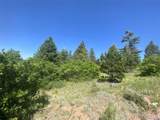  Peak View Ridge - Photo 17