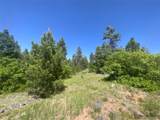  Peak View Ridge - Photo 18