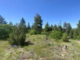  Peak View Ridge - Photo 24