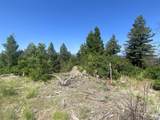  Peak View Ridge - Photo 25