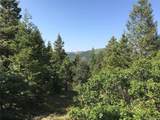  Peak View Ridge - Photo 4