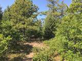  Peak View Ridge - Photo 5