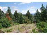  Peak View Ridge - Photo 7
