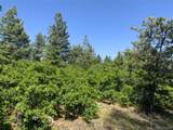 Peak View Ridge - Photo 9