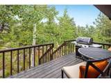302 Deer Trail Cir - Photo 15