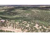 11771 Diamond View Rd - Photo 11
