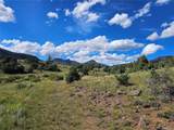 3527 Bear Creek Cir - Photo 19