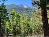  County Road 292A - Photo 1