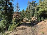 300 Lower Vista Rd - Photo 7
