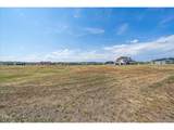 2622 Fox View Trl - Photo 14