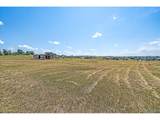 2622 Fox View Trl - Photo 16