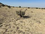 40 Las Animas Ranch - Photo 7