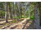 112 Deer Rd - Photo 6