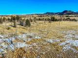 111 Antelope Way - Photo 18