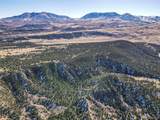 106 Colorado Land & Grazing - Photo 29