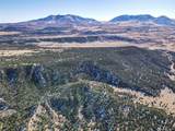 106 Colorado Land & Grazing - Photo 30