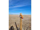 177 1 Mile W Of Co Rd 42 & Co Rd 181 - Photo 4