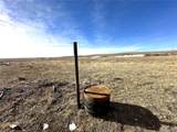  40 Acres - Elbert County - Hwy 86 - Photo 14