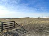  40 Acres - Elbert County - Hwy 86 - Photo 3