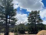 29269 Timber Rdg - Photo 30