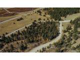 425 Platte River Dr - Photo 33