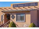 Black Diamond Dr - Photo 16