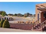  Black Diamond Dr - Photo 17