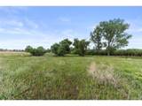  Cherry Creek Rd - Photo 13