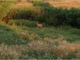  Cherry Creek Rd - Photo 22