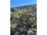  Tbd Wildhorse Drive - Photo 20