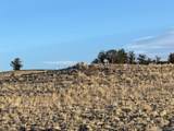 1290 Lippzana Rd - Photo 11