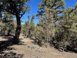 211 Bear Ln - Photo 16