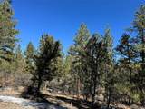 211 Bear Ln - Photo 17