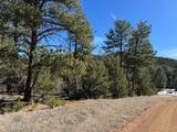 211 Bear Ln - Photo 18